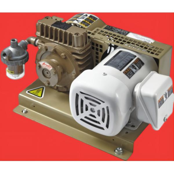 N510062039AB Panasonic NPM-D Vacuum Pump SMT Machine Spare Parts