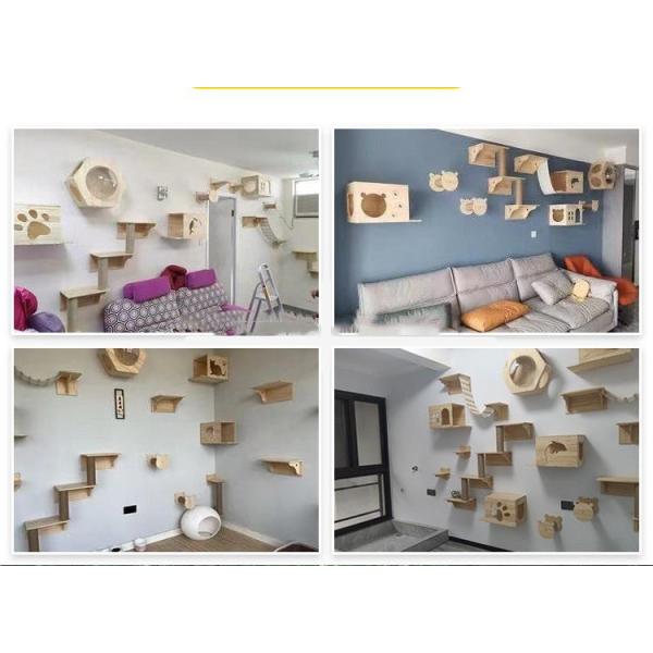 Любимец новизны забавляется установленное стеной деревянное дерево взбираясь рамки кота устойчивое