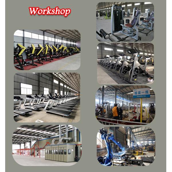 Multi Function Adjustable Exercise Bench With Weight Plates