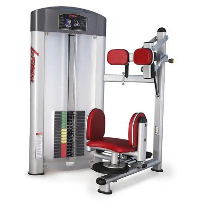 Ostenta a máquina da rotação do torso do equipamento da aptidão do corpo do gym do trainng para a venda