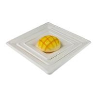 la bagasse biodégradable de la canne à sucre 6Inch plaque le plat 7Inch de Retangular de place