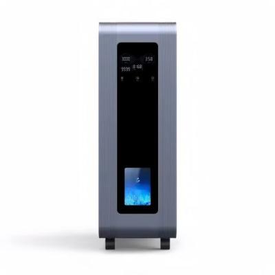 Appareil d' inhalation d' oxygène et d' hydrogène antioxydant 3000 ml 2250 ml AC210-240V