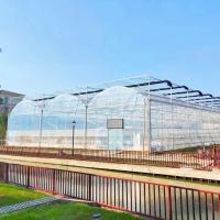 Plastique PE résistant aux rayons UV Film Tunnel Fruit Serre agricole