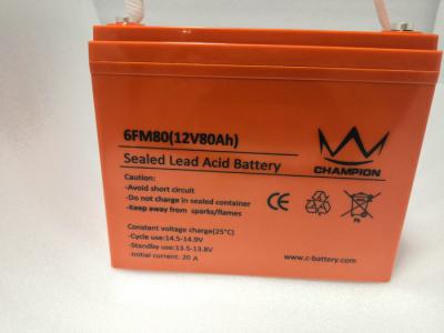 OEM 12v Deep Cycle Marine Battery , Flat Rechargeable Lithium Battery