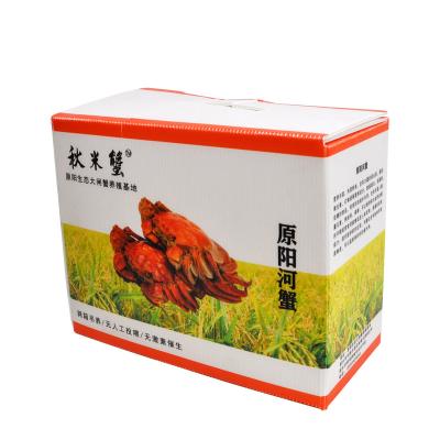 Corruone Collapsible PP Corrugated Plastic Danpla Box Polypropylene Plastic Sheet Crates Corrugated Storage box