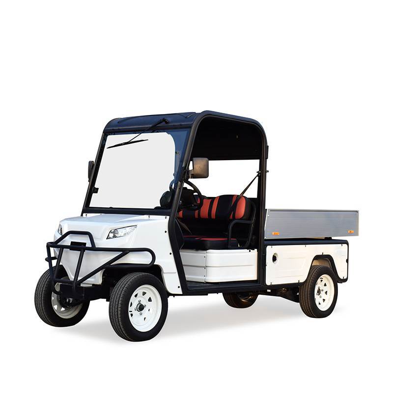 D-E2H Electric Golf Car With 1650*1160*280mm Aluminum Cargo