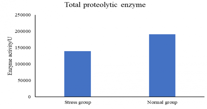 Premix Feed Enzymes with NSP Enzyme Brown Yellow Granule For Premix High Activity