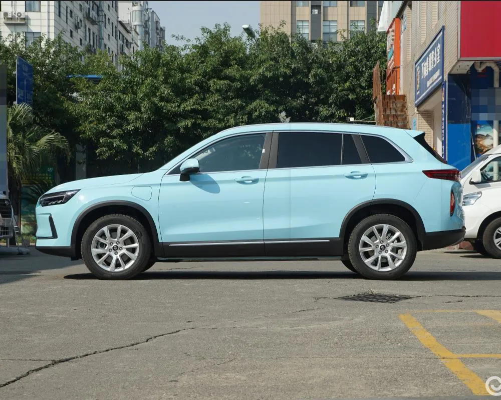 Raysince good quality electric suv vehicle wholesales cheap price China electric vehicle new suv