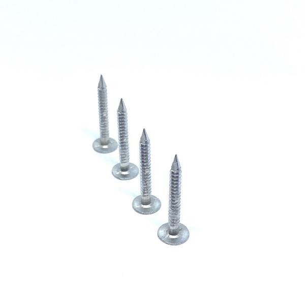 Telhando a arruela de alumínio de Ring Shank Nails Waterproof With EPDM da cabeça lisa