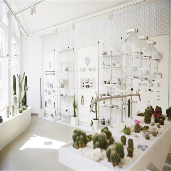 Fashion iron flower display rack /wood flower rack for flower shop