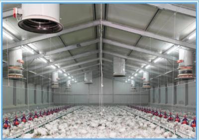 Baking Varnish Light Steel Prefab House For Broiler House Bolt Connection