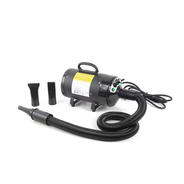 Sèche-cheveux pour animaux de compagnie confortable à haute vélocité, respectueux de la peau, économe en énergie, pour salon de toilettage