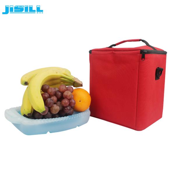 Eco Friendly 1200ml Cooler Eutectic Cold Plates For Cooling Fruit And Food