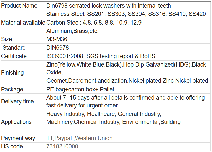 Din6798 serrated lock washers with internal teeth
