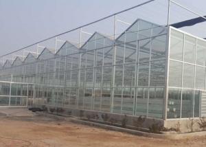 High Grade Galvanized Pipe Greenhouse Glass Covering Commercial