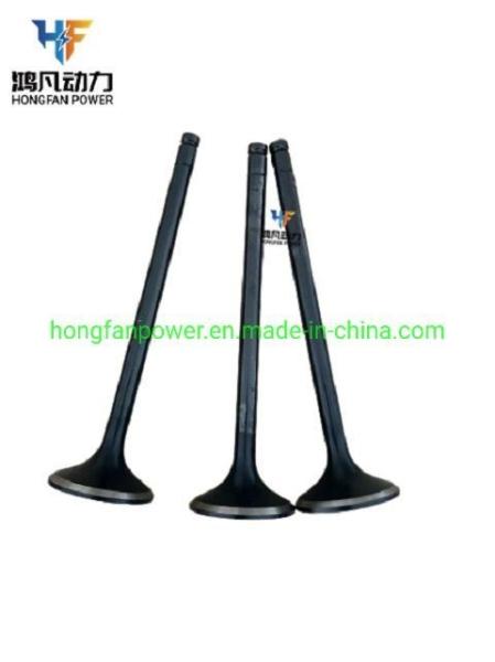 Marine Engine Accessories Z6170.1-44C/45 Inlet and Exhaust Valve for Zichai 6170/8170