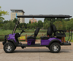 GCC Golf Cart Cooler 2024 Rechargeable Lithium Battery Pack for 5-6 Seater Golf Carts