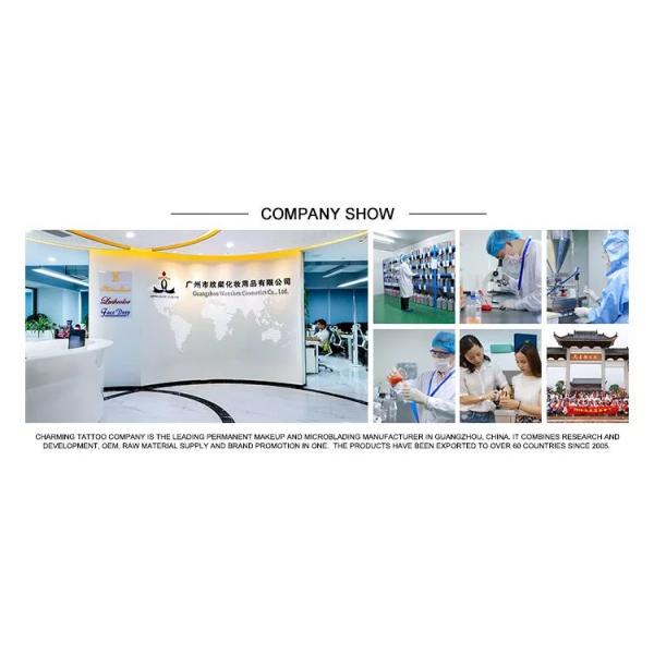 Colorants de maquillage de micro de Charmant de mode d'OEM/encre semi permanents tatouage de Microblading