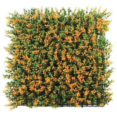 Panneaux d'herbe artificielle pour les murs en PE, résistance aux UV, faible entretien et sensation esthétique