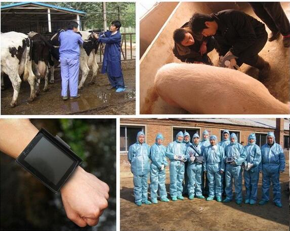 SGV2 Wrist VET ultrasound scanner,Animal health devices,Ultrasound doppler for animal use