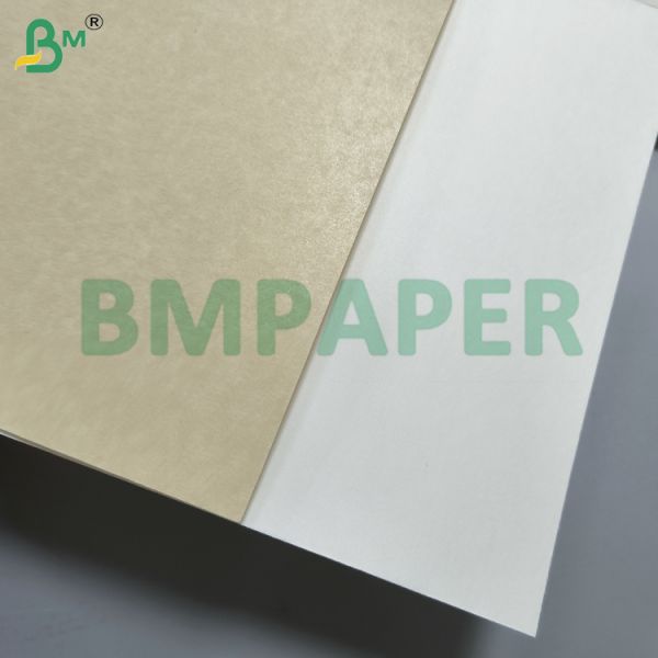 Food-Grade Bowl And Dish Specialty Paper / Plate Paper, PET Coated