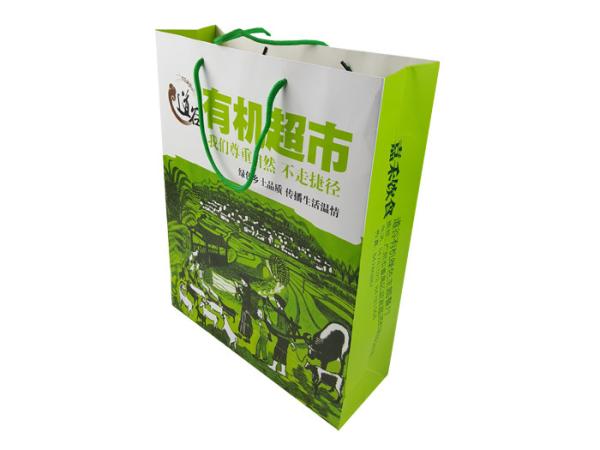 Recycle Paper Material Green Color Printing Customized Size Custom Design Paper Bags with Green Color Handle