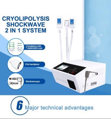 Inquietação 2 em 1 máquina do emagrecimento de Cryolipolysis do alívio das dores