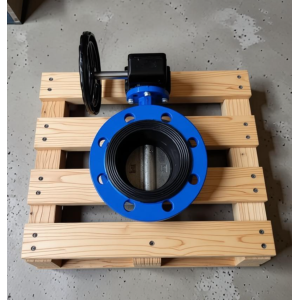 2in-48in Large Caliber WCB SS304/316 Flange Soft Seal Double Flange Concentric