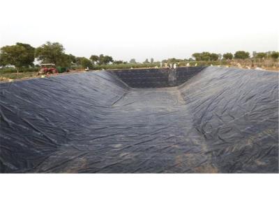 0.2mm Polyethylene Geomembrane Shrimp Pond Liner Anti Seepage Pe Tarpaulin