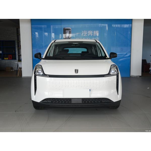 Unleash the Power of Pentium NAT A 419km Range MPV with 140km/h Max Speed and 4 Doors