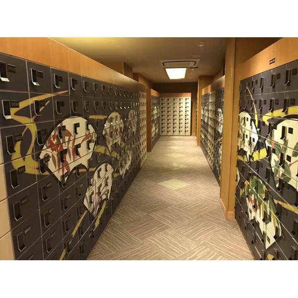 9 Tier IOT Locker 1900 X 1100 X 300 Set Size Shoe Storage Locker With Special Lock