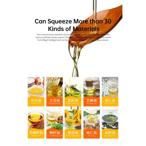 KG Industrial Oil Extractor High Oil Yield Cold Pressed Rosehip Oil Press Automatic Moringa Oil Pressers Pressing Machine