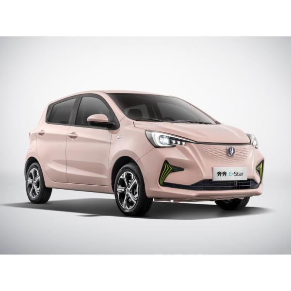 Pure Electric Mini EV Cars Max Speed 101 Km/H Long Range 310KM