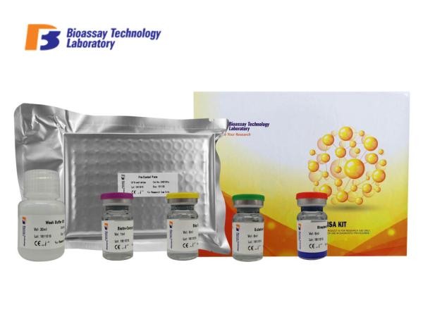 Bovine High Specificity T4 Enzyme Immunoassay ELISA Kit With Oem Service