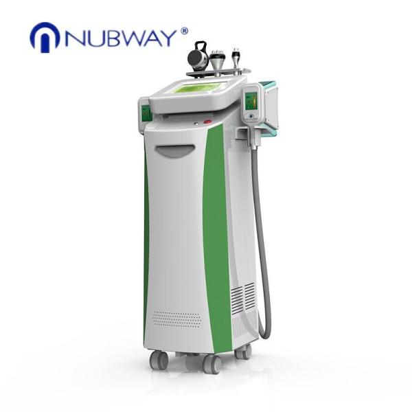 2018 hot sale high quality beauty cryolipolysis therapy Frozen slimming body shaping machine for clinic/spa use