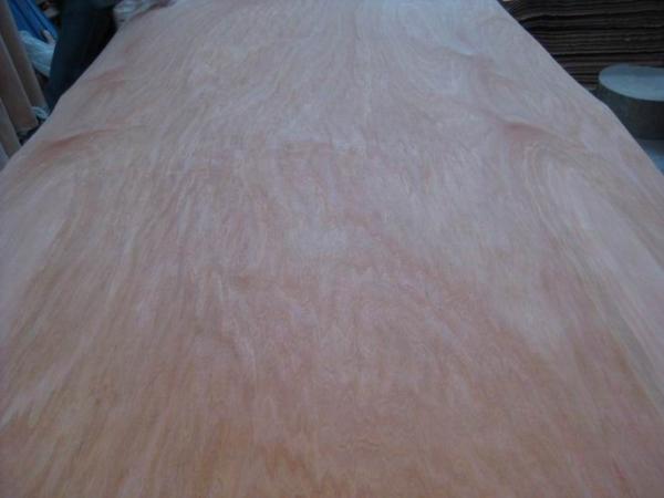 Rotary Cut Red Cedar Wood Veneer Sheet, Face/Back Grade