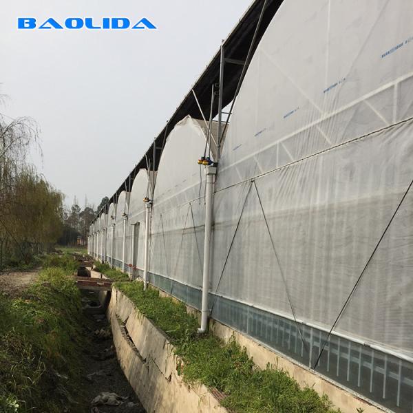 Estufa comercial do período do jardim multi para o desempenho estável vegetal