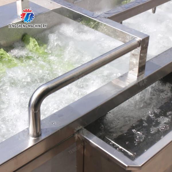 Wash Washer Washing Cleaning Fruit Orange Leaves Vegetables sward beans  soybeans  green beans  chickpeas beans  red beans  mung beans  Vegetables bubble washing processing production machine