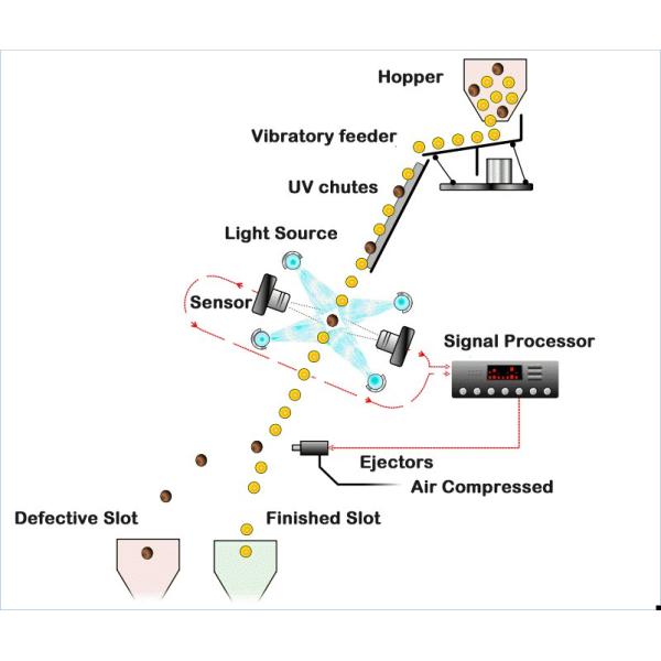 Optical CCD Grain Color Sorter Peanuts Color Sorting Machine