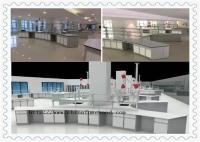 Phenolic Worktop Chemistry Lab Furniture / Steel Laboratory Furniture