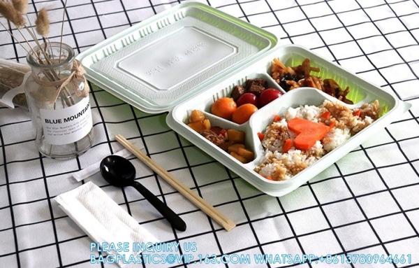 Factory Direct Sales Takeaway Food Packaging And Storage Containers Disposable Plastic Food Bento Lunch Boxes