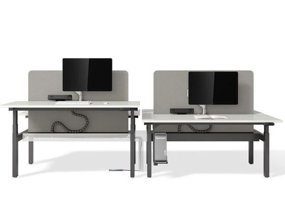 Up1 Office Adjustable Desk with 725-1215mm and 725-1270mm Height Range and Multiple Size Options