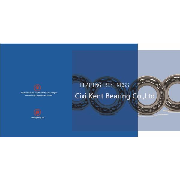 High Rotate Speed Deep Groove Ball Bearing 6005 RS Zz for OEM P0 P6 P5 P4 ZV1 ZV2 ZV3 ZV4
