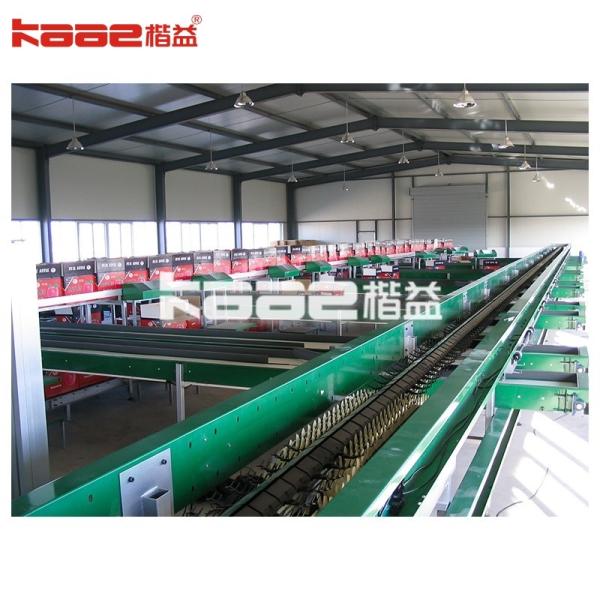 Size Shape Grading Intelligent Photoelectric Dates Sorting System With Plc Motor