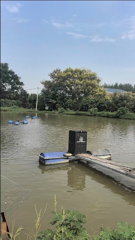 Industrial Plastic Large Capacity Feeder 500kg/Hour 80KG Anti Leakage