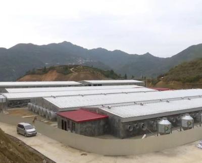 Structure en acier galvanisé préfabriqué de qualité Q355 à Q235B