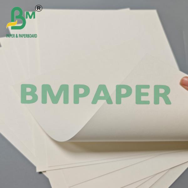 190g 210g Disposable Hot Drink Cup Roll Paper 15g PE Coated