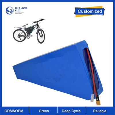 OEM ODM LiFePO4 bateria de lítio NCM NMC Bateria personalizada Bateria recarregável de scooter elétrico