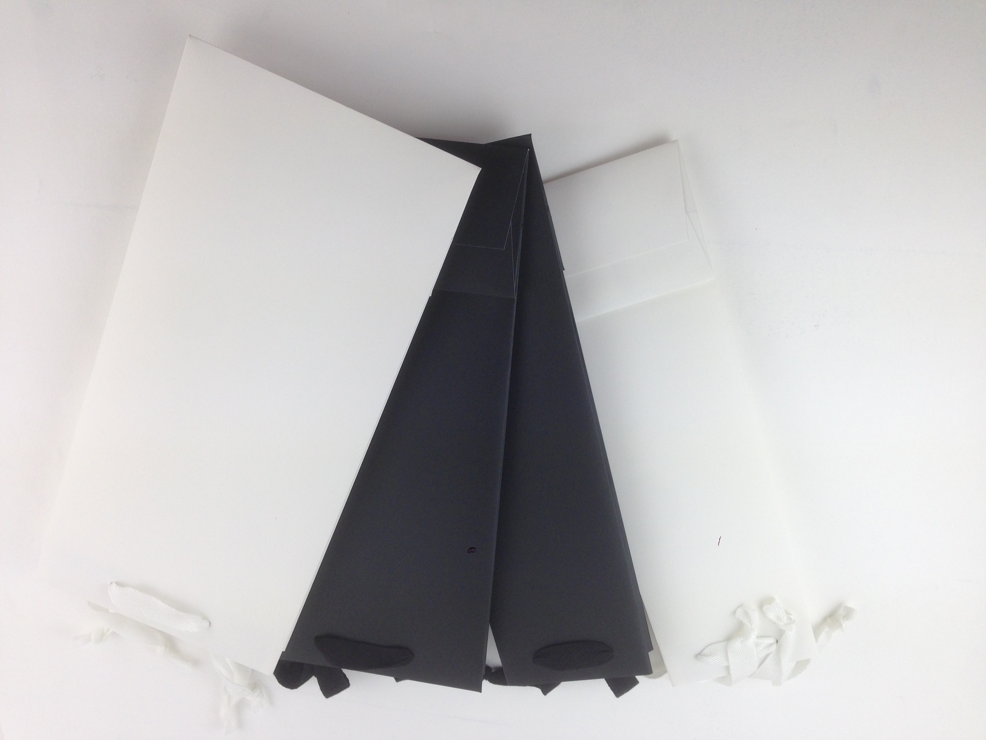 сверхмощное вино картона 170gsm Totes сумка бутылки вина слоения Matt одиночная