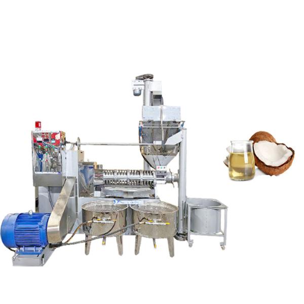 Heavy-Duty Construction Coconut Oil Presser For Tough Environments